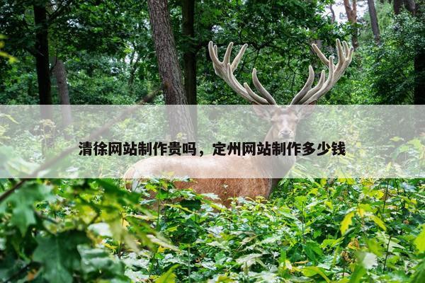 清徐网站制作贵吗，定州网站制作多少钱