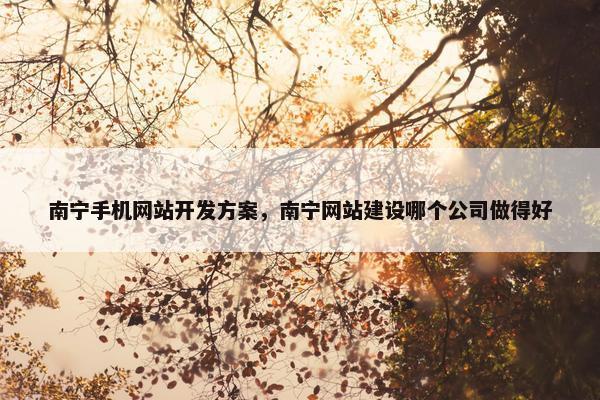 南宁手机网站开发方案，南宁网站建设哪个公司做得好