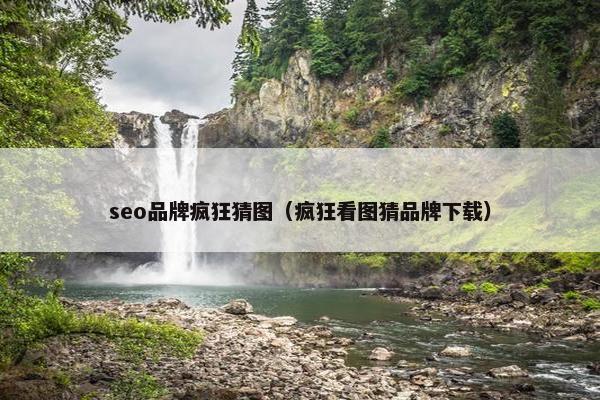 seo品牌疯狂猜图（疯狂看图猜品牌下载）