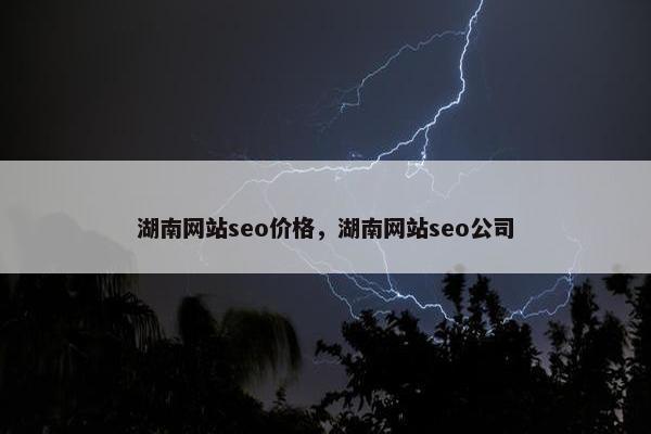 湖南网站seo价格，湖南网站seo公司