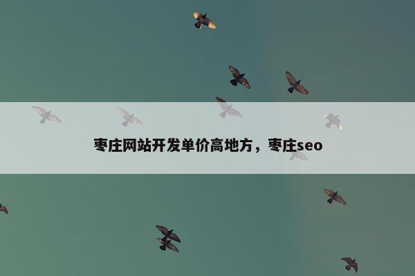 枣庄网站开发单价高地方，枣庄seo