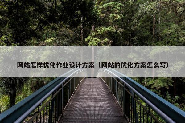 网站怎样优化作业设计方案（网站的优化方案怎么写）