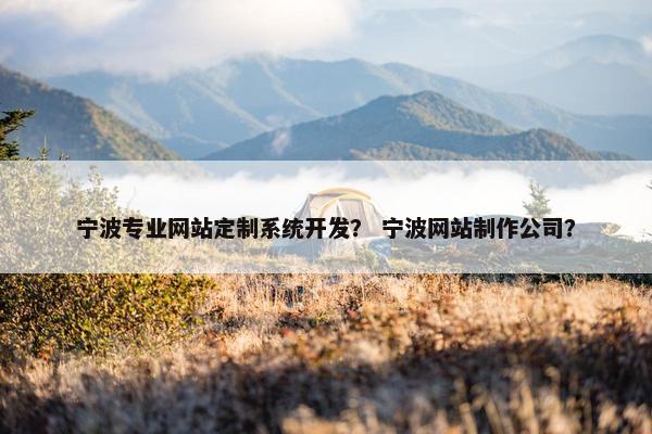 宁波专业网站定制系统开发？ 宁波网站制作公司？