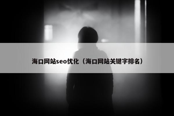 海口网站seo优化（海口网站关键字排名）