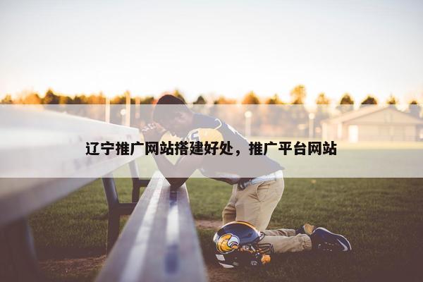 辽宁推广网站搭建好处，推广平台网站