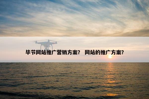 毕节网站推广营销方案？ 网站的推广方案？