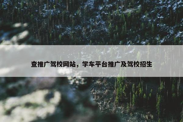 查推广驾校网站，学车平台推广及驾校招生