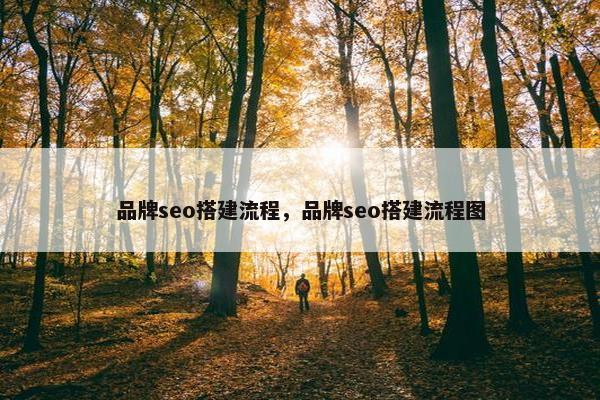 品牌seo搭建流程，品牌seo搭建流程图