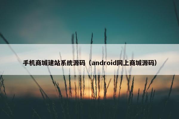 手机商城建站系统源码（android网上商城源码）