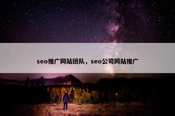 seo推广网站团队，seo公司网站推广