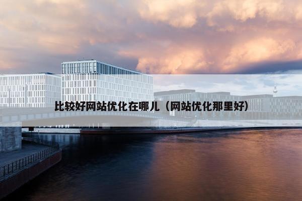 比较好网站优化在哪儿（网站优化那里好）
