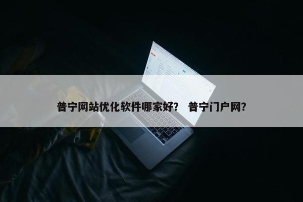 普宁网站优化软件哪家好？ 普宁门户网？
