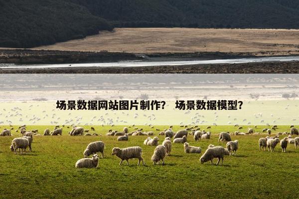 场景数据网站图片制作？ 场景数据模型？