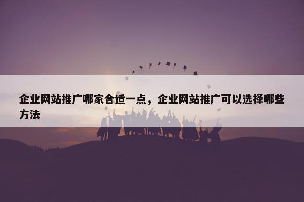 企业网站推广哪家合适一点，企业网站推广可以选择哪些方法