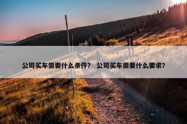 公司买车需要什么条件？ 公司买车需要什么要求？