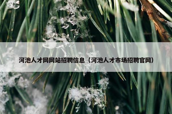 河池人才网网站招聘信息（河池人才市场招聘官网）