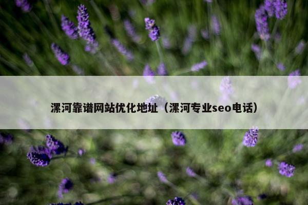 漯河靠谱网站优化地址（漯河专业seo电话）