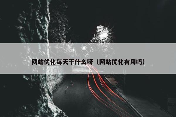 网站优化每天干什么呀（网站优化有用吗）