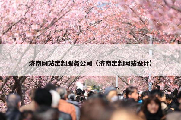 济南网站定制服务公司（济南定制网站设计）