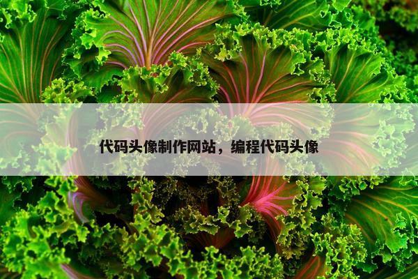 代码头像制作网站，编程代码头像