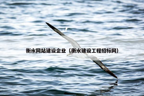 衡水网站建设企业（衡水建设工程招标网）