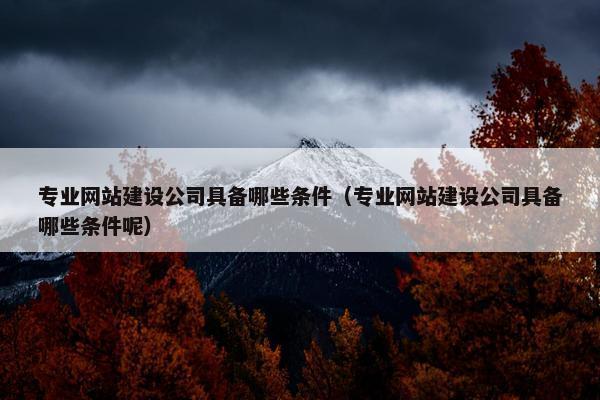 专业网站建设公司具备哪些条件（专业网站建设公司具备哪些条件呢）