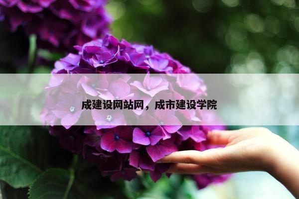 成建设网站网，成市建设学院