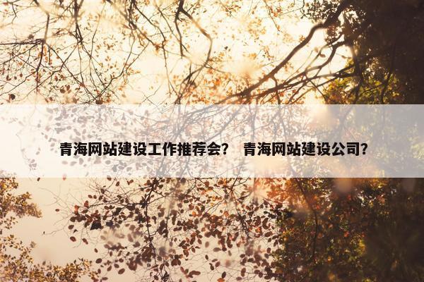 青海网站建设工作推荐会？ 青海网站建设公司？