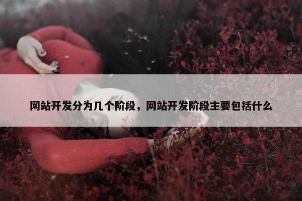 网站开发分为几个阶段，网站开发阶段主要包括什么