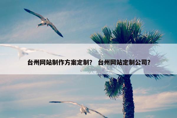 台州网站制作方案定制？ 台州网站定制公司？