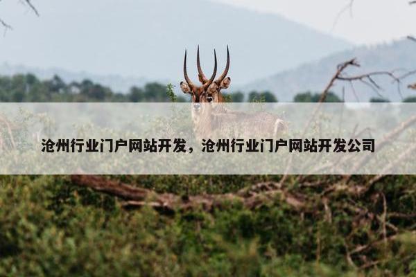 沧州行业门户网站开发，沧州行业门户网站开发公司