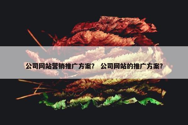 公司网站营销推广方案？ 公司网站的推广方案？
