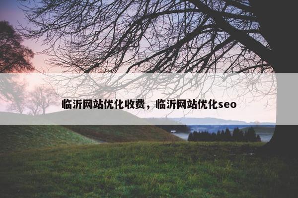 临沂网站优化收费，临沂网站优化seo