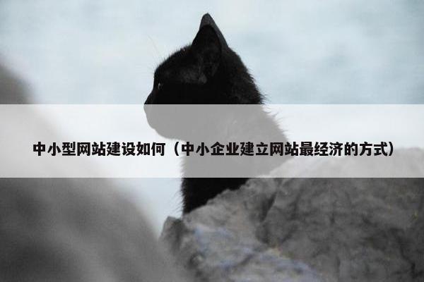 中小型网站建设如何（中小企业建立网站最经济的方式）