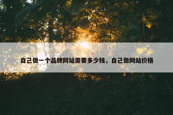 自己做一个品牌网站需要多少钱，自己做网站价格