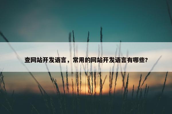 查网站开发语言，常用的网站开发语言有哪些?