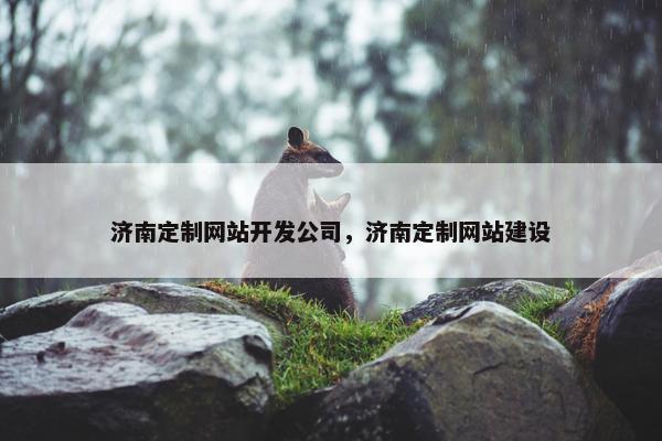 济南定制网站开发公司，济南定制网站建设
