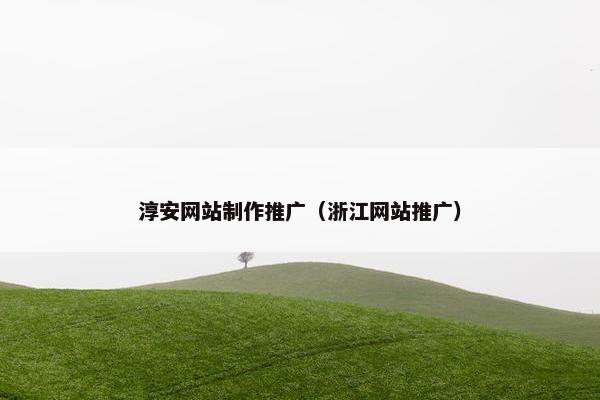 淳安网站制作推广（浙江网站推广）