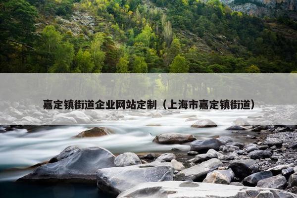 嘉定镇街道企业网站定制（上海市嘉定镇街道）