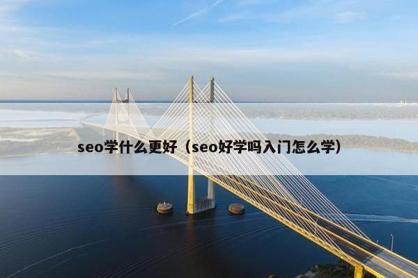 seo学什么更好（seo好学吗入门怎么学）