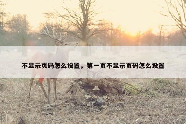 不显示页码怎么设置，第一页不显示页码怎么设置