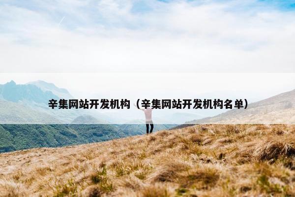 辛集网站开发机构（辛集网站开发机构名单）