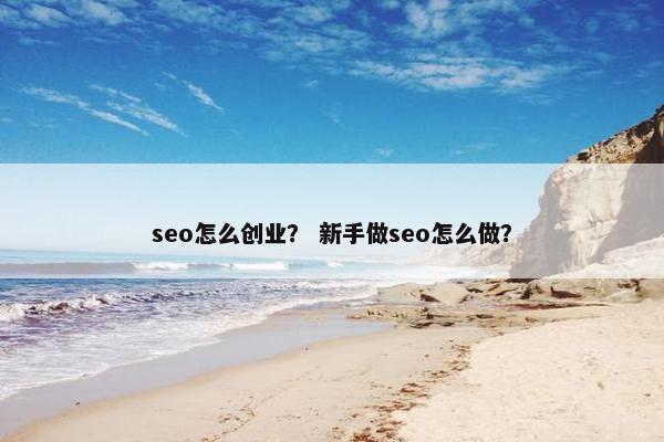 seo怎么创业？ 新手做seo怎么做？