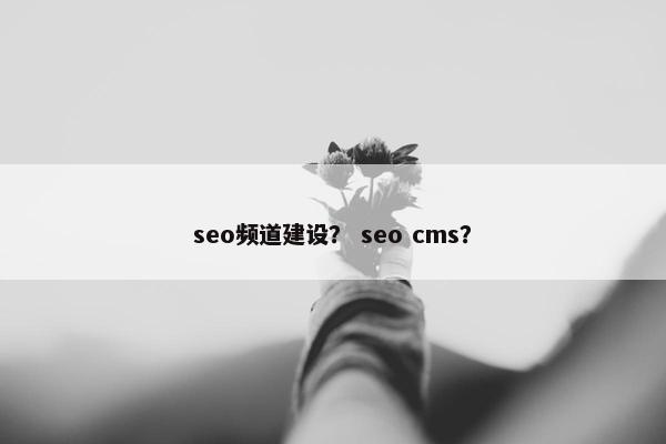 seo频道建设？ seo cms？