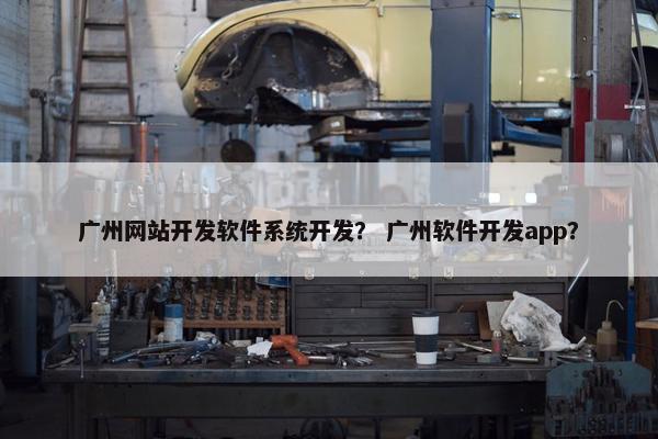 广州网站开发软件系统开发？ 广州软件开发app？