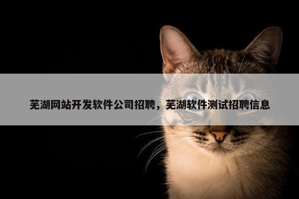 芜湖网站开发软件公司招聘，芜湖软件测试招聘信息