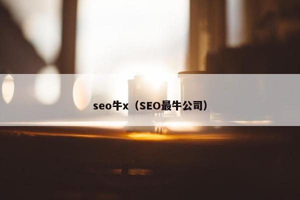 seo牛x（SEO最牛公司）