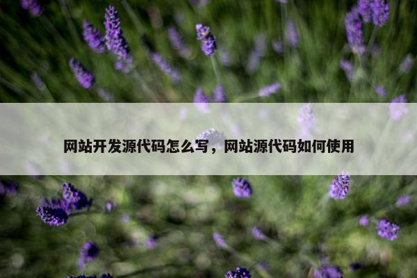 网站开发源代码怎么写，网站源代码如何使用