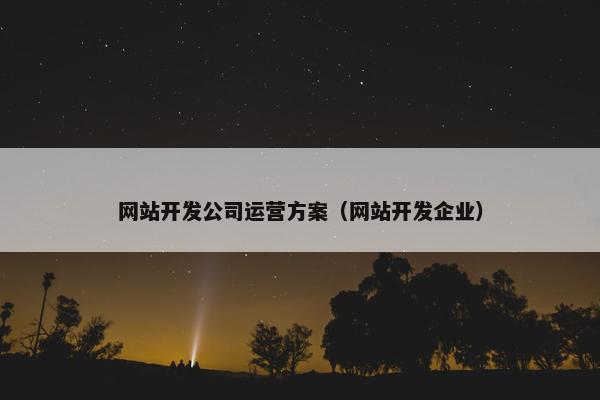 网站开发公司运营方案（网站开发企业）