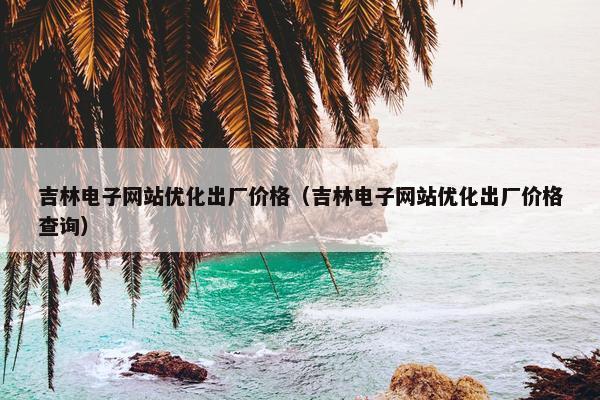 吉林电子网站优化出厂价格（吉林电子网站优化出厂价格查询）
